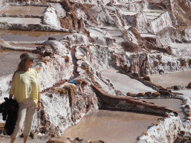 262728_210453582425591_504574906_n