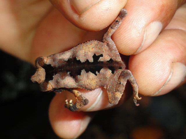 307587_210455029092113_1539349575_n