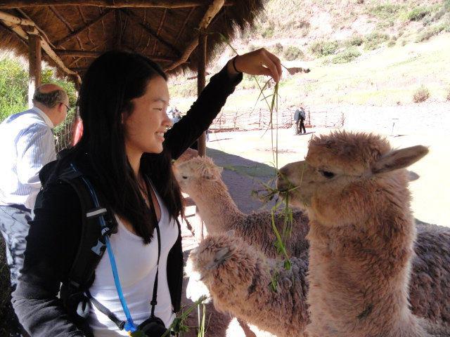 68927_210453499092266_1221392476_n