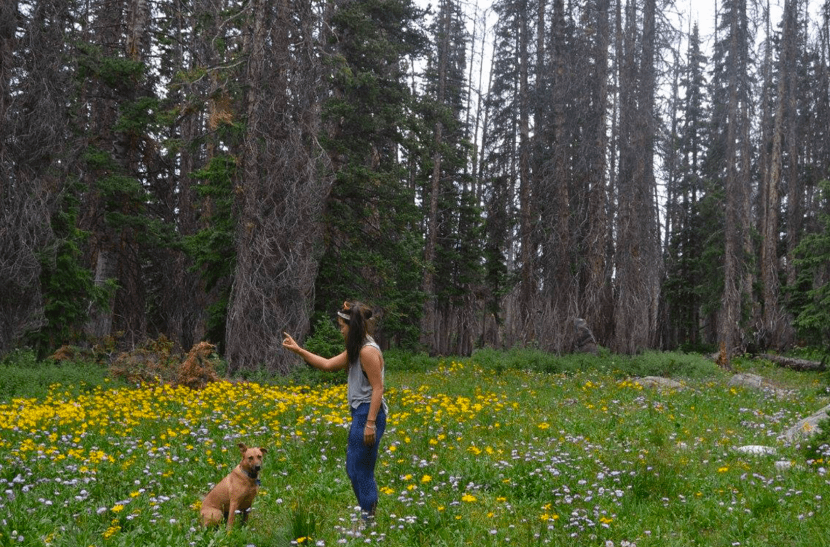 Screen Shot 2016-11-21 at 11.21.43 AM.png